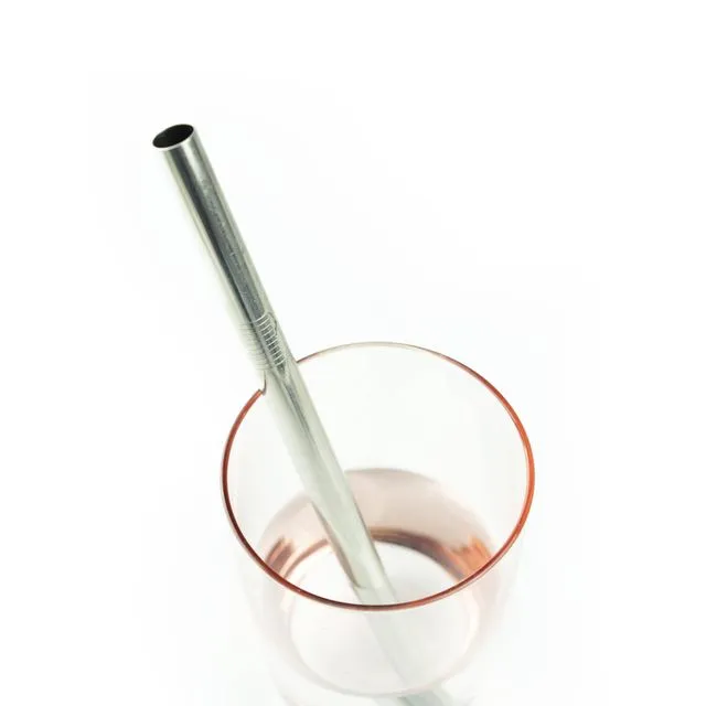 Stainless Steel Smoothie Reusable Straws