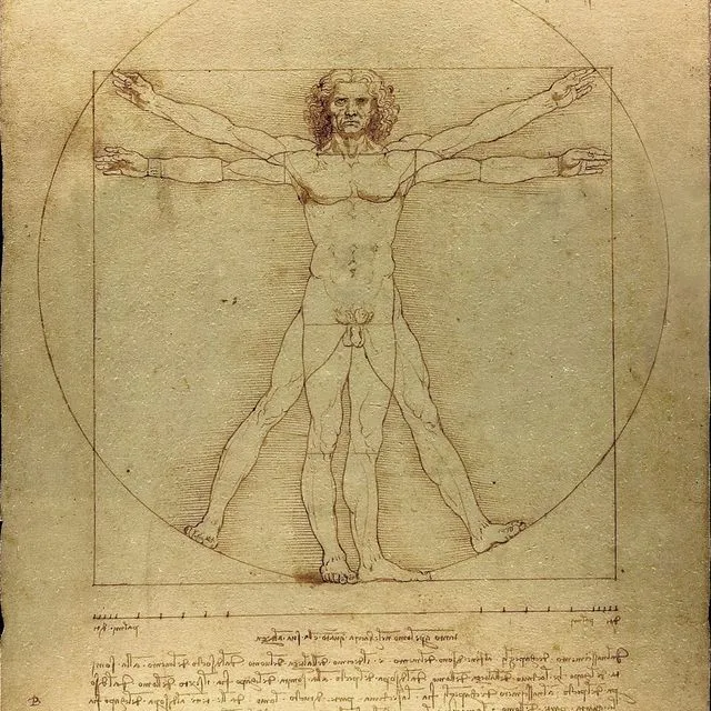 Poster da Vinci - Man of Vitruvius - 50x70cm