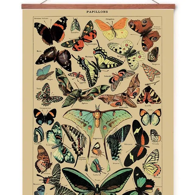 Poster in poster hanger - Butterflies - 70x50cm
