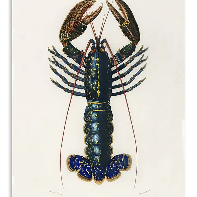 Postcard Vintage Lobster - 10x15cm