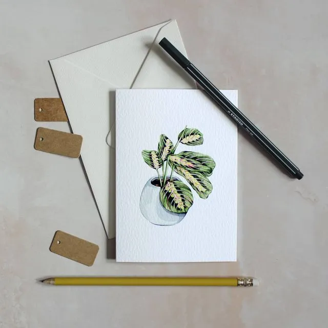 House Plant Greetings Card