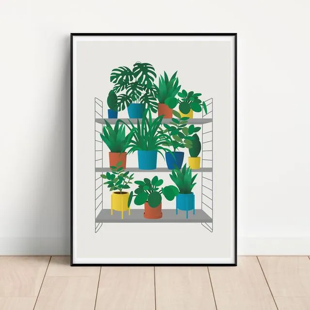 House Plant Unframed Print