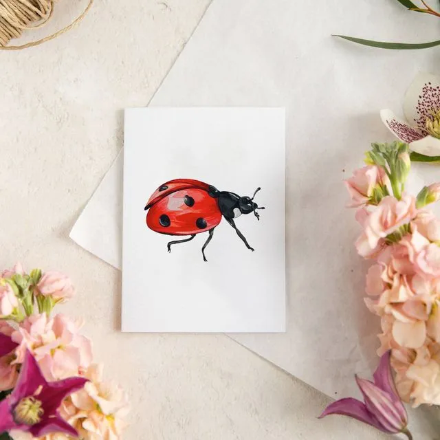 Mini Ladybird Greetings Card