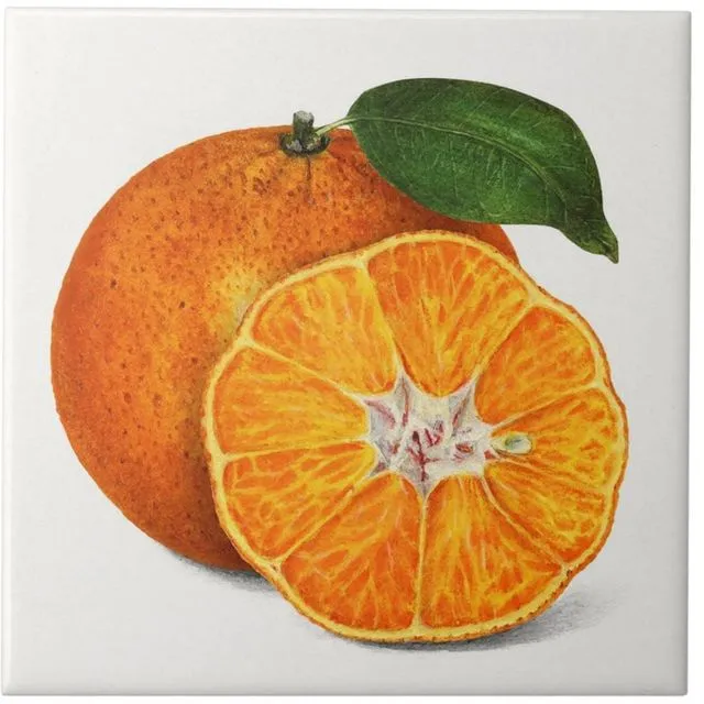 Gorgeous Orange Fruit Artwork on Ceramic Wall Tile