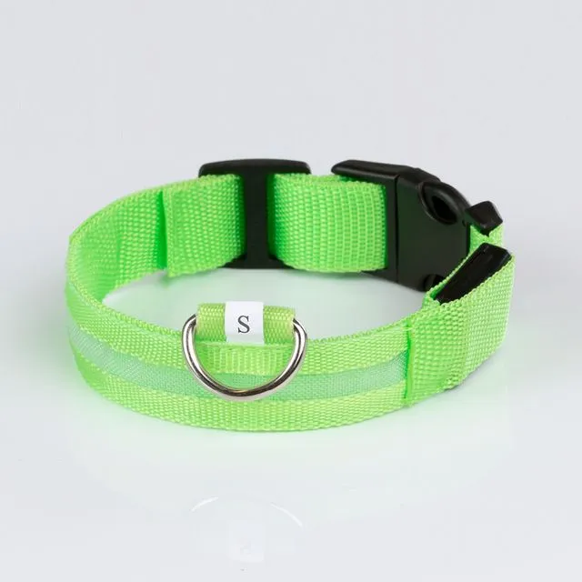Luminous collar green