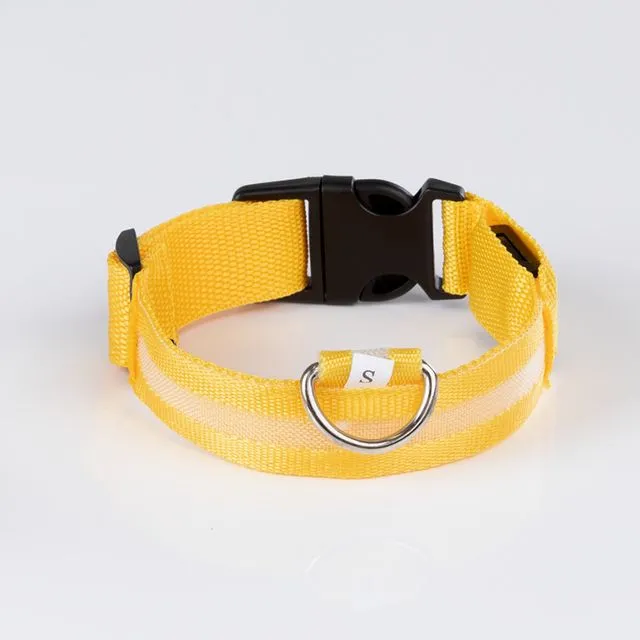 Luminous collar Yellow