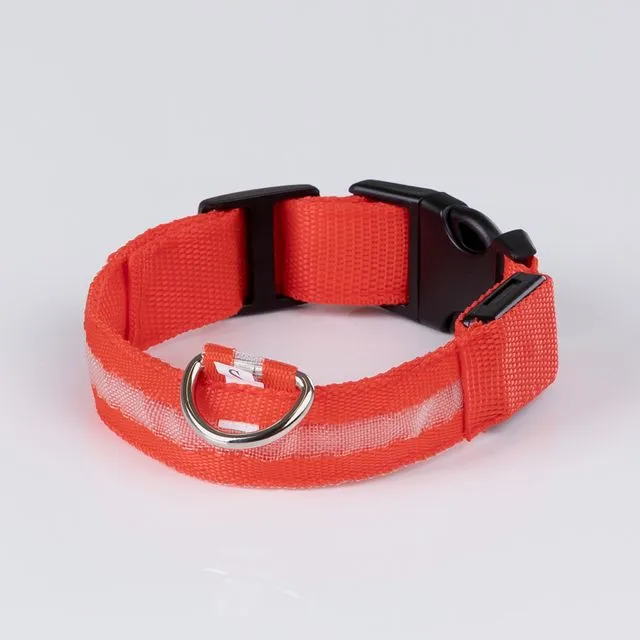 Luminous collar Red