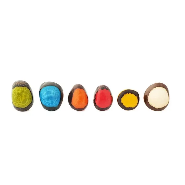 Assorted Tagua Rings