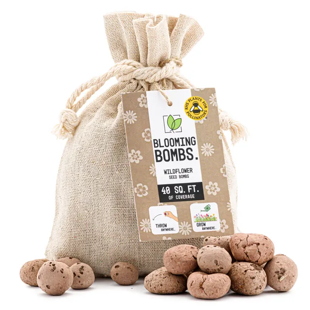 Blooming Bombs Small - Ball Shaped Wildflower Seed Bombs | 40 Square Feet of Coverage| Bee Friendly Wildflower Seed Mix | Made in The UK