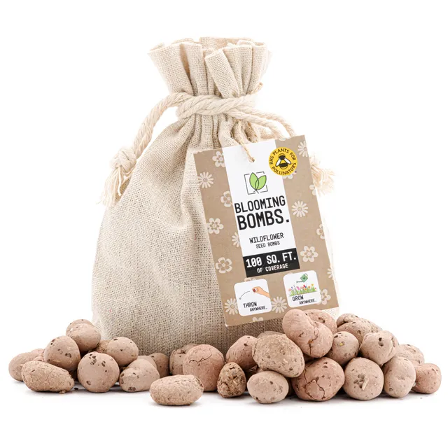 Blooming Bombs - Wildflower Seed Bombs. 100 Square Feet of Coverage | Bee Friendly Wildflower Seed Mix | Made in The UK
