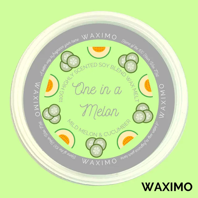 One In a Melon - 110g Wax Melt