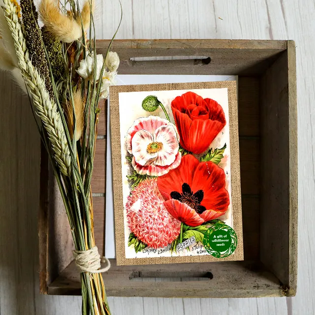 Beautifully Vintage Poppy & Wildflower cartd - Seeds Inside