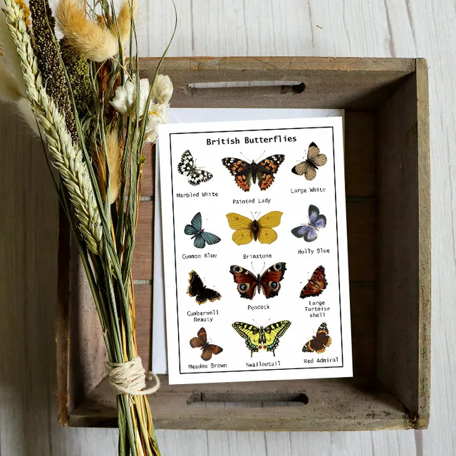 Wildflowers For Butterflies Seed Card