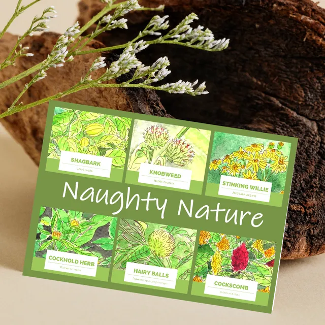 Greeting card with a gift of seeds - Naughty Nature