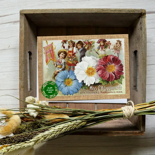 Greeting card with a gift of seeds - Vintage Pansy Landscape Card