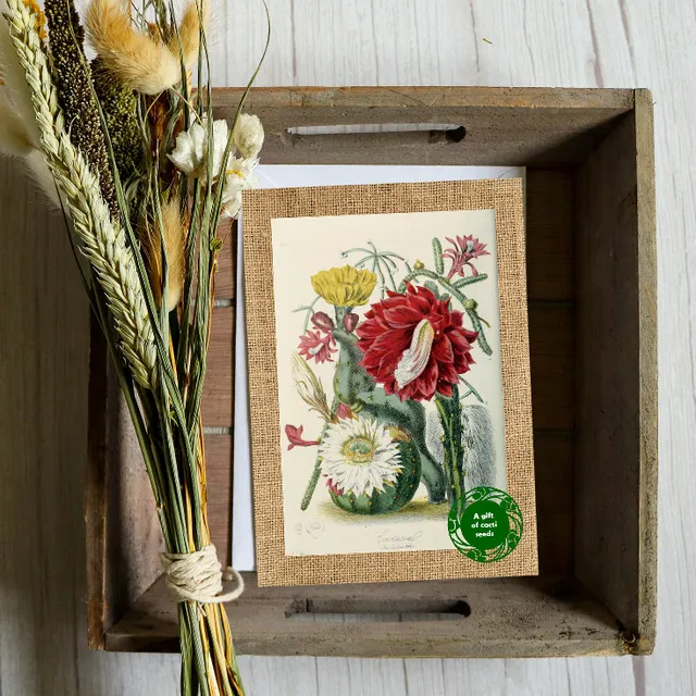 Greeting card with a gift of seeds - Vintage Cacti Card