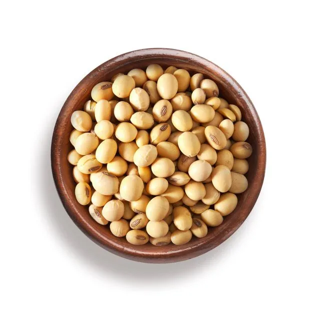 Organic Soy Beans (750g)