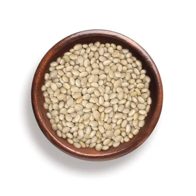 Organic Haricot Beans (850g)