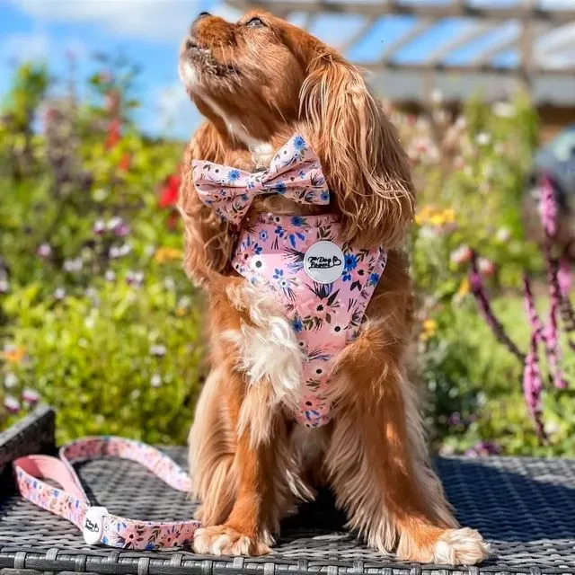Adjustable Dog Harness - Flower Child