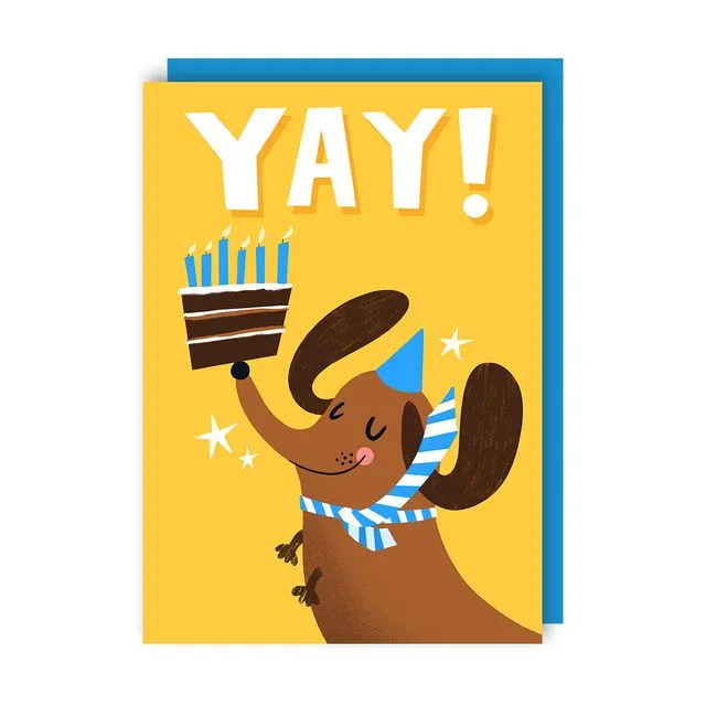 Sausage Dog and Cake Birthday Card pack of 6