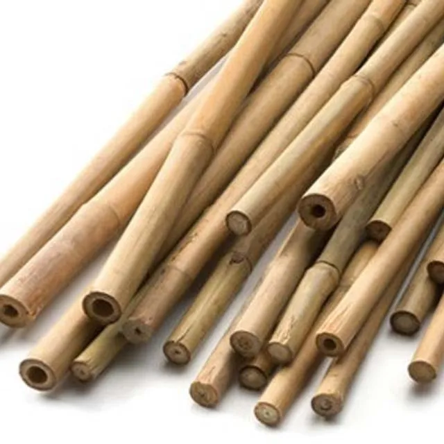 3 ft 90cm Fumigated Bamboo Canes Sealed pack of 25