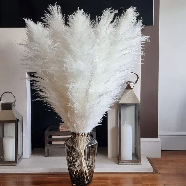 White Large Pampas Grass bundle extra large tall Wedding Floral Decorations White Dried Pampass Wedding Pampas Bridal Shower Decor home decor
