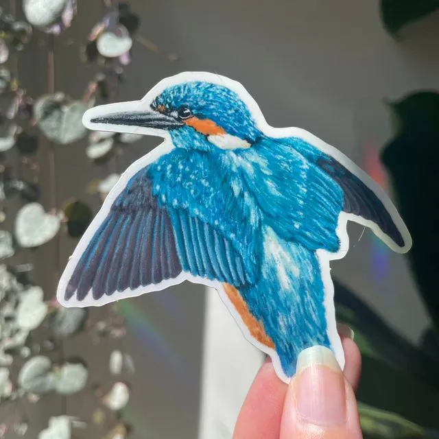 River Kingfisher illustration Vinyl Sticker