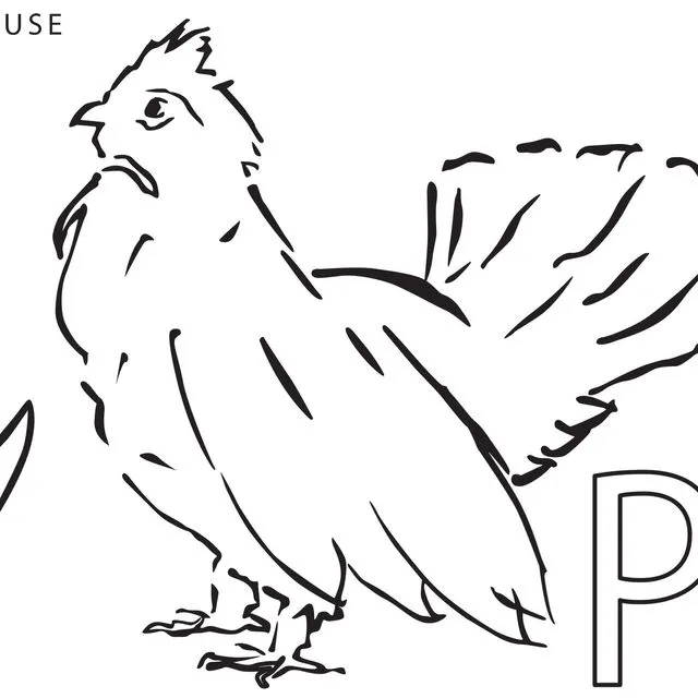 Pennsylvania Ruffled Grouse State Bird Tea Towel