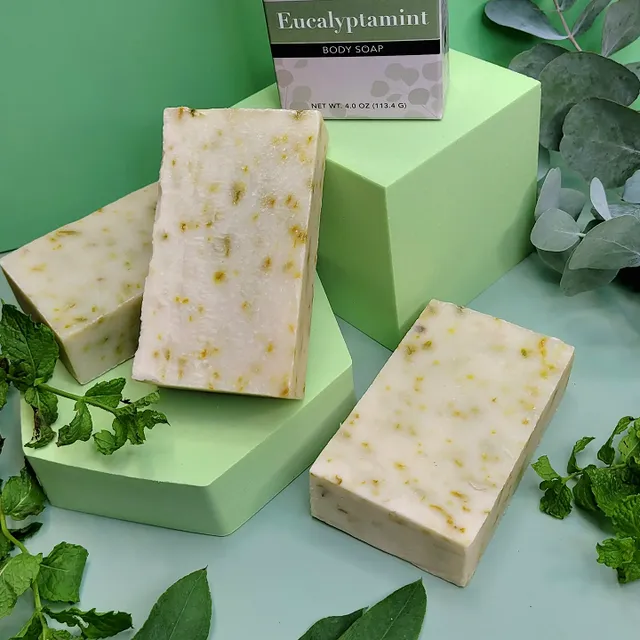 Standard Soap - Eucalyptamint (Case pack of 6)