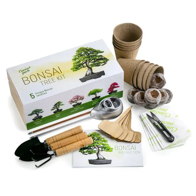Bonsai Kit - Grow Your Own