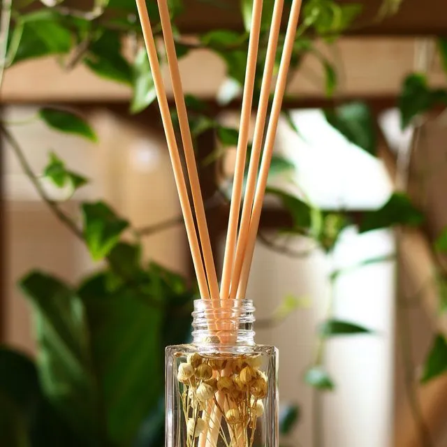 Cocoa Patchouli Botanical Reed Diffuser 100ML