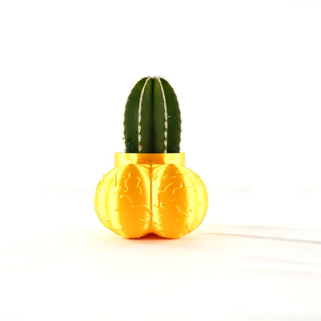 2" Cock Pot, Male Body Planter, 3D Printed Planter with Drain - Gold