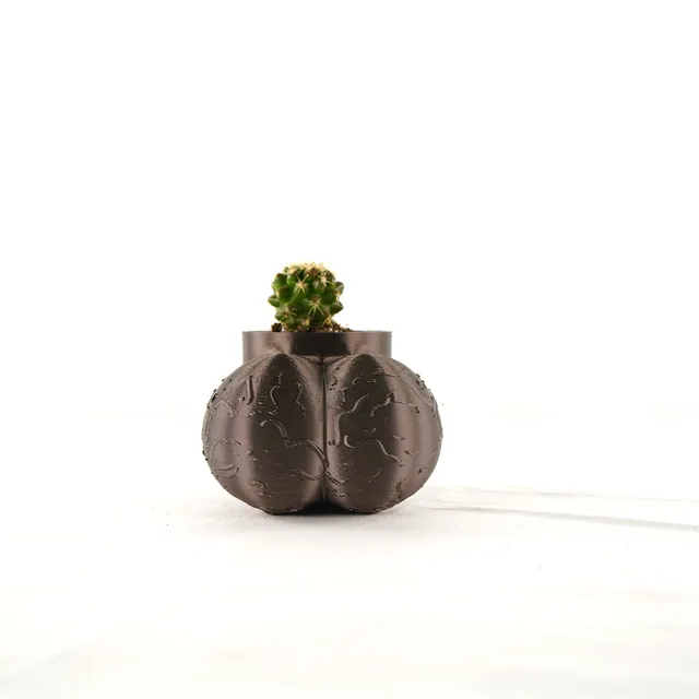 2" Cock Pot, Male Body Planter, 3D Printed Planter with Drain - Black