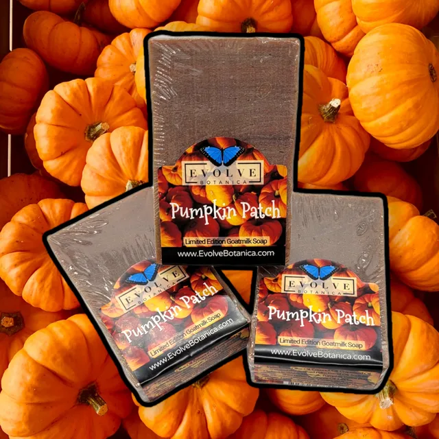Standard Soap - Pumpkin Patch (Seasonal) (Case pack of 6)