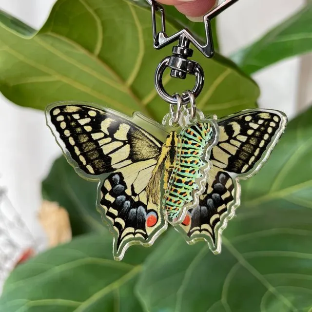 Swallowtail Butterfly and Caterpillar recycled keychain