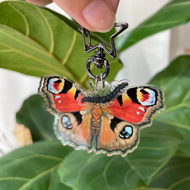 Peacock Butterfly and Caterpillar recycled keychain