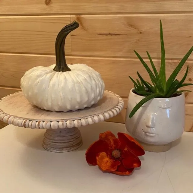 XLarge {CREAM} Nubby Mink Velvet Pumpkin; coastal home chic, rustic mantle decor, DIY centerpiece, hostess gift for her, best selling item