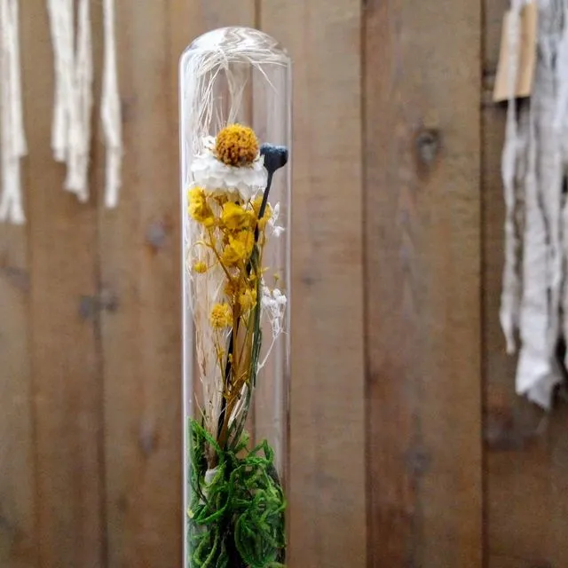 dried flower terrarium sunrise hike dried flowers in glass bottle / vials