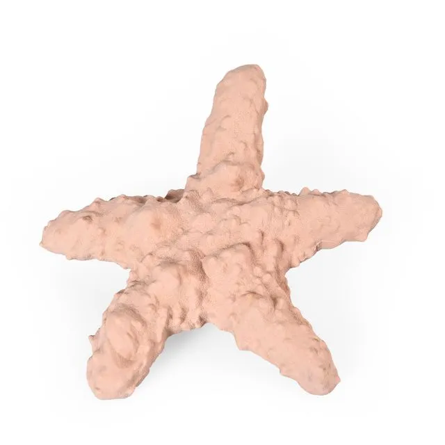 Recycled Rubber Starfish Dog Licky Toy