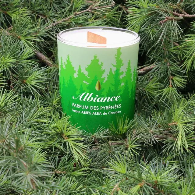 ALBIANCE - Abies Alba Plant Candle