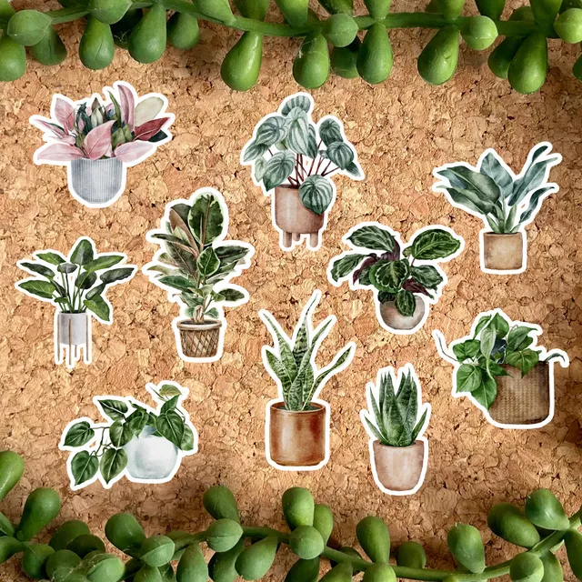 Set of 10 Illustrated Plants in Pots Stickers