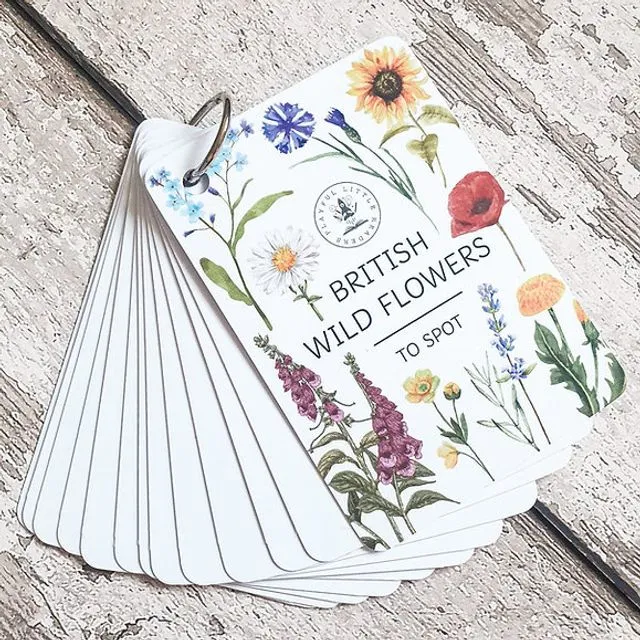Wildflower - Explorer Flashcards