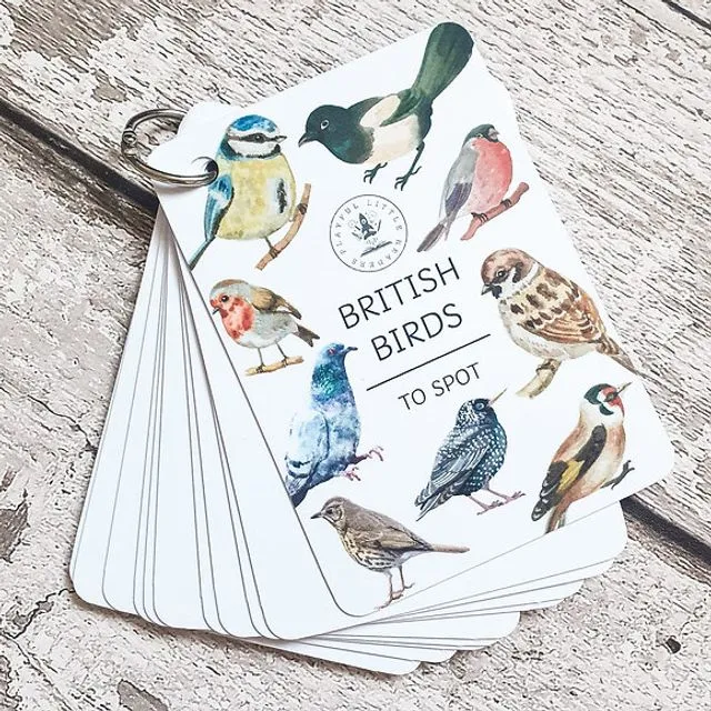 Garden birds - Explorer Flashcards