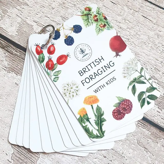 Foraging with kids - Explorer Flashcards