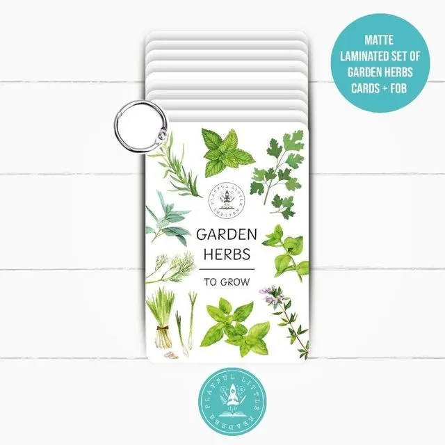Garden Herbs - Explorer Flashcards