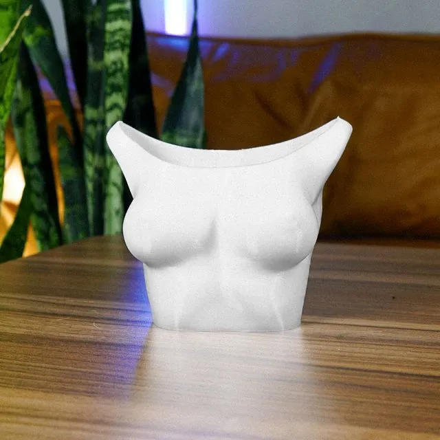 Female Torso Planter, Boob Planter, Indoor 3D Printed Planter - 4 Inch