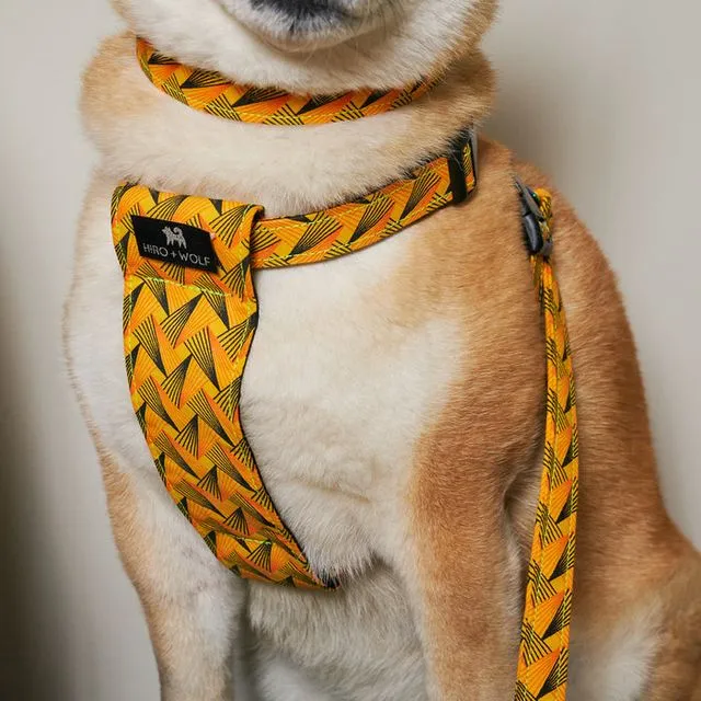 Fireworks Adjustable Fabric Dog Collar
