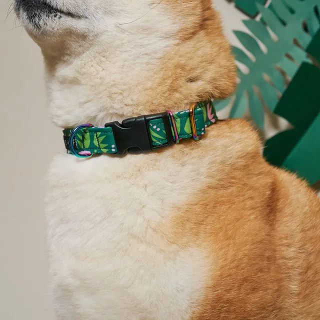 Combs Adjustable Fabric Dog Collar