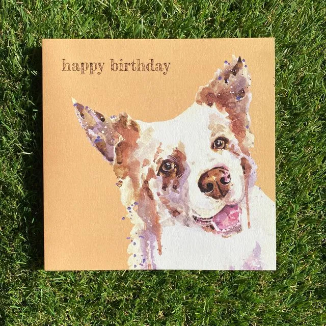 Happy Birthday Colour Pop Dog Greeting Card