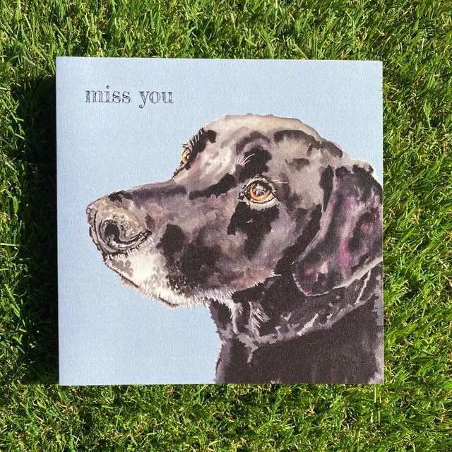 Miss You Colour Pop Dog greeting card